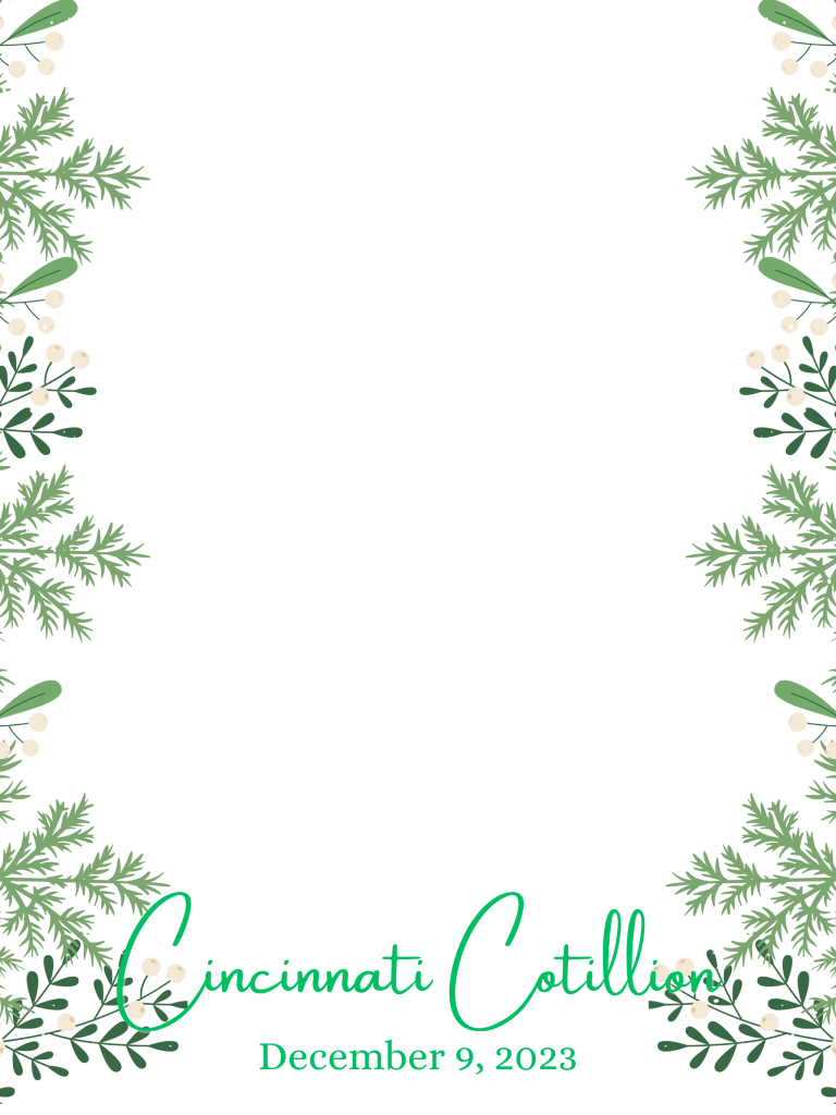 Christmas Party Overlay